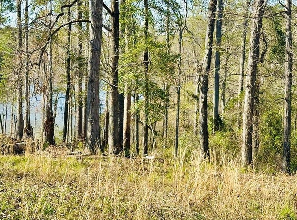 208 Dogwood Circle, Abbeville, AL 36310