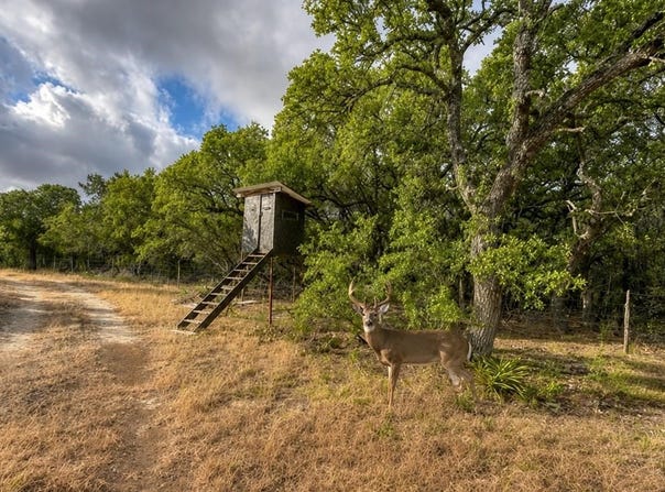 149 CR 103, Lampasas, TX 76550