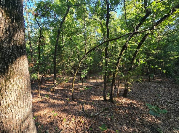 000 Buzzard Gap Development, Wilburton, OK 74578
