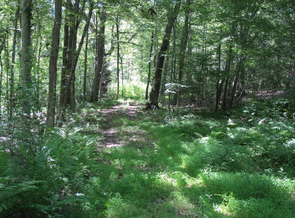 42 Lake Road, Bozrah, CT 06334