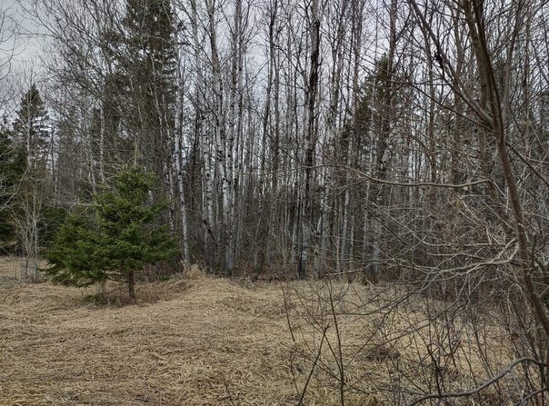 TBD Off Ohman Road, L'Anse, MI 49946