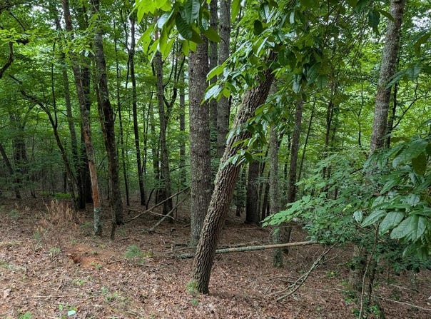 Chestnut Hill Dr, Franklin, NC 28734