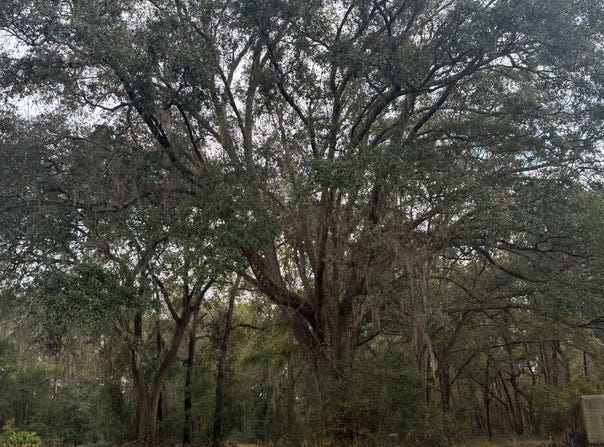 SW MCGRIFF LN & KAMAN, Lake City, FL 32024
