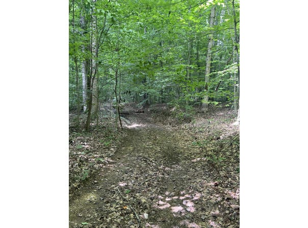 9999 Lela Lane, Monticello, KY 42633