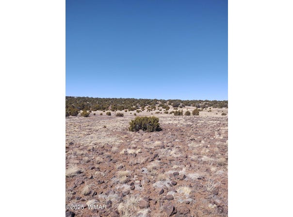 Tbd Show Low Pines, Concho, AZ 85924
