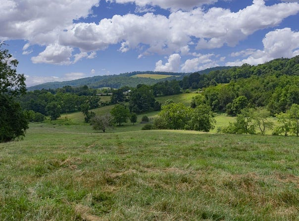 151 Acres Sunnybrook Rd, Fairfield, VA 24435