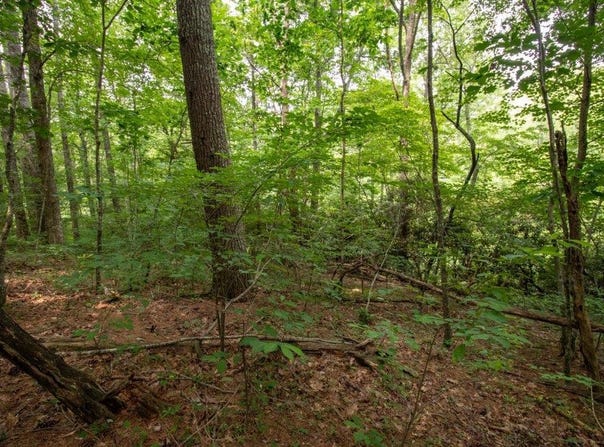 Lot 28 Manor House Dr, Laurel Fork, VA 24352