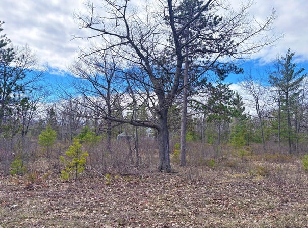 County Rd. 638 Highway lot: 36, Presque Isle, MI 49777