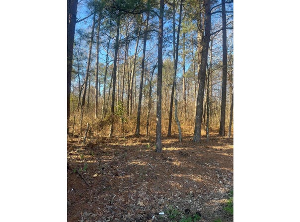 WALSTON BRIDGE Rd, Jasper, AL 35504