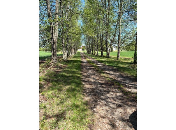 3707 Righteous Ridge Road, Waterford, OH 45786