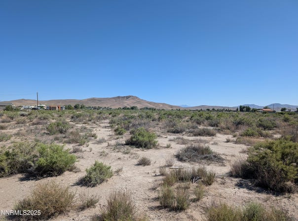 Cardon Lane, Yerington, NV 89447
