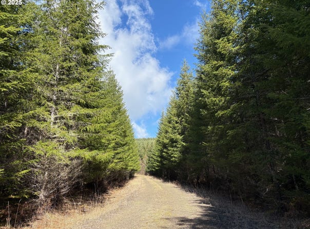Boiler Creek Rd, Springfield, OR 97478
