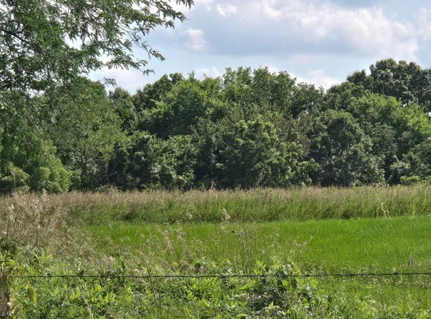 State Highway 65, Urbana, MO 65767