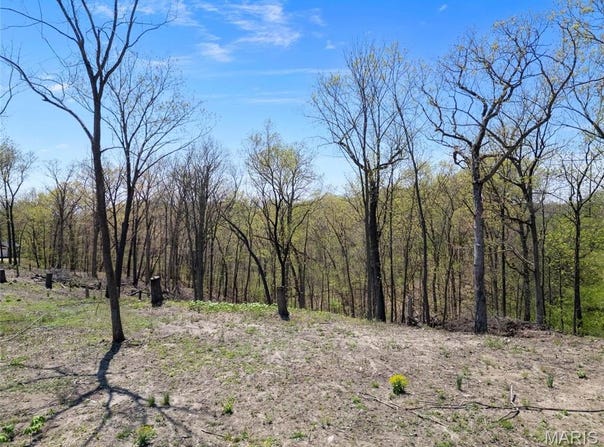 0 Iron Mountain Bluff-Wicks, Arnold, MO 63010