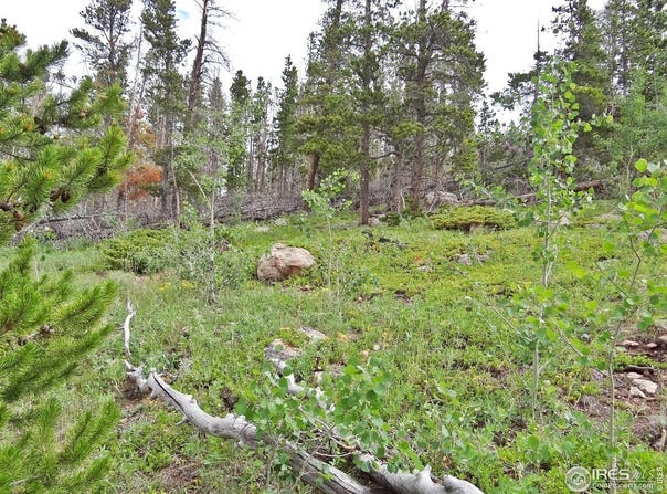 1683 Osage Trl, Red Feather Lakes, CO 80545