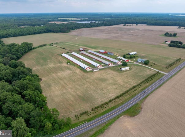 7347 HARMONY Road, PRESTON, MD 21655