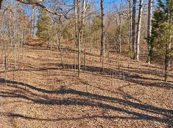 6346 Little Hickory Road, Philpot, KY 42366