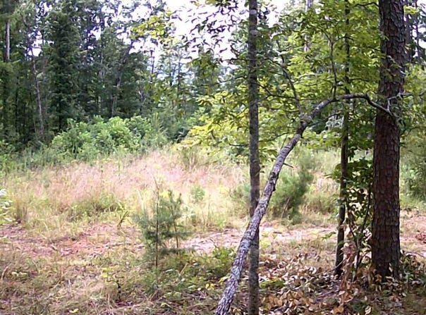 Junaluska Drive, Jamestown, TN 38556