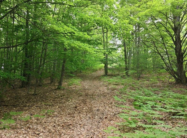 3982 SE Mitchell Road, Kalkaska, MI 49646