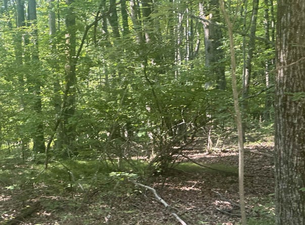 Lot#179 Mockingbird Circle, Farwell, MI 48622