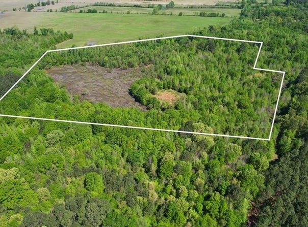 Tbd County Road 1143, Daingerfield, TX 75638