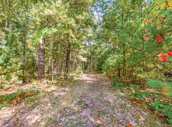 V/L 40 A S Locust Avenue, White Cloud, MI 49349