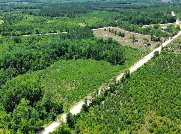 005 Captain J D Burr Road, Chesterfield, SC 29709