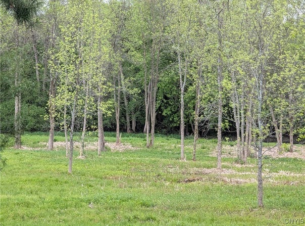 16744 Lot #2d Thompson Trail Drive, Brownville, NY 13634