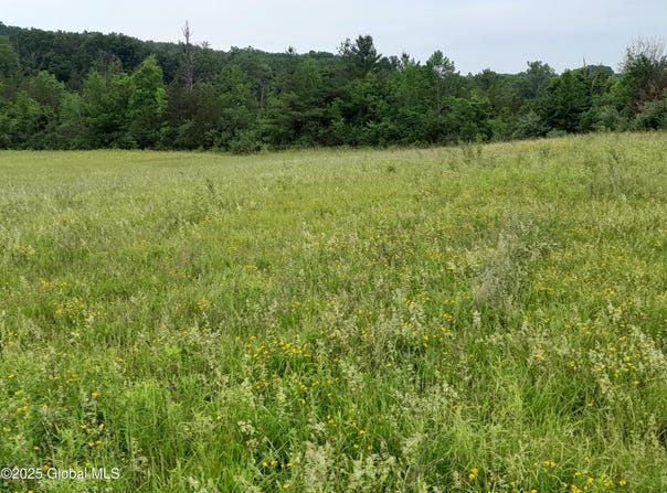 L45 Roberts Hill Rd, Coxsackie, NY 12192
