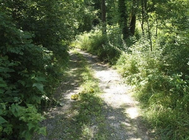 0 Pocahontas Trail, Glade Spring, VA 24340