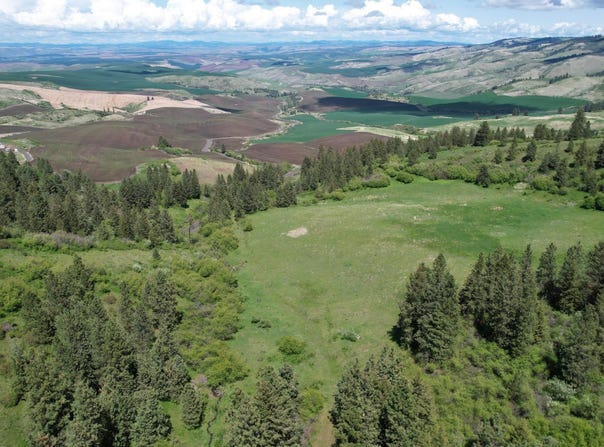 Tbd Slickpoo Road, Culdesac, ID 83524
