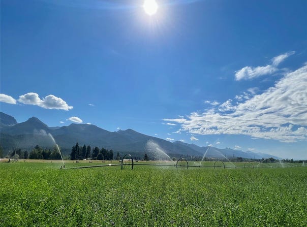 NHN Haystack Mountain Lane, Polson, MT 59860