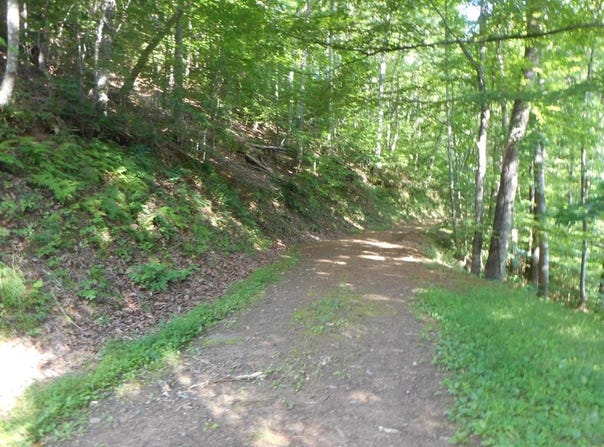 Rabbit Lane lot: 22&23, Franklin, NC 28734