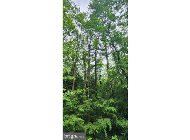 YOUGH VIEW DRIVE, OAKLAND, MD 21550