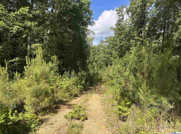 55741 HIGHWAY 25, LEEDS, AL 35094