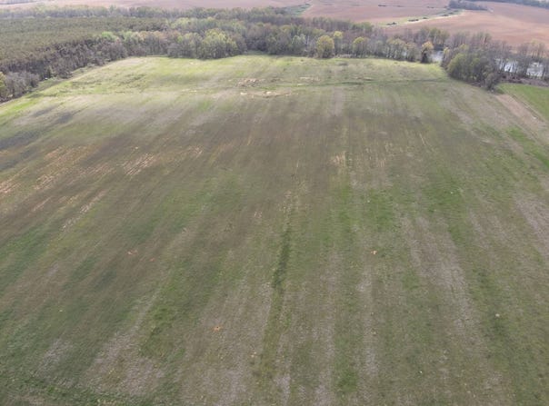 10708 Green Ln., Mer rouge, LA 71261