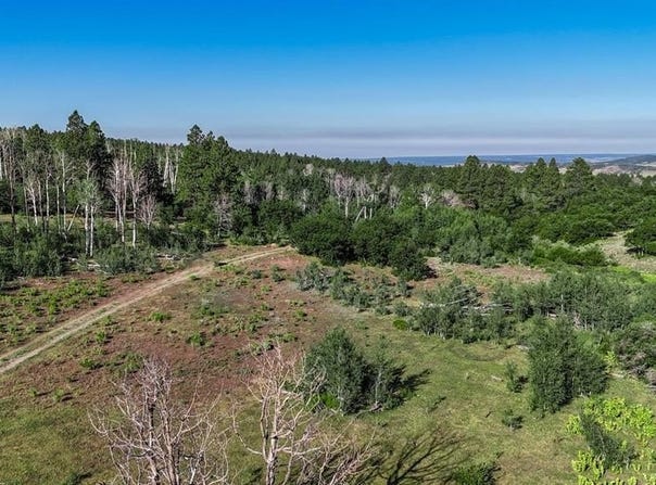 tbd King Drive, Rico, CO 81332