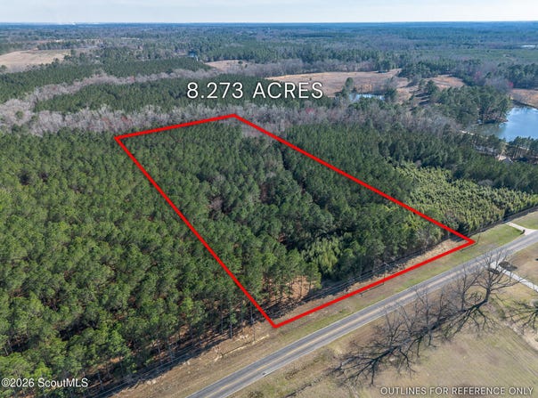 Ben Giddens Road lot: 1, Eastman, GA 31023