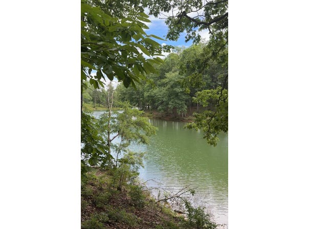 SHORESIDE DR lot: 54, Double Springs, AL 35553