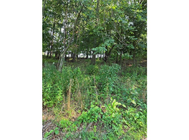 926 Morrison St, Central North Side, PA 15212
