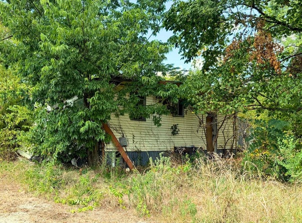 Everton, MO 65646