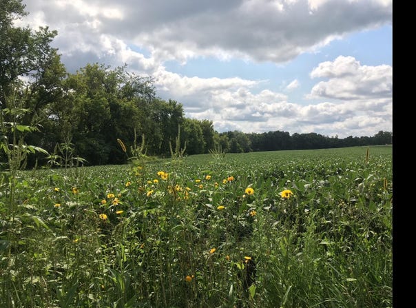 1405 Hamel Road, Medina, MN 55340