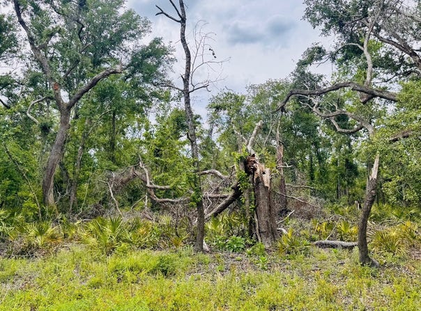 LOT74 NW 22ND AVENUE, Jasper, FL 32052