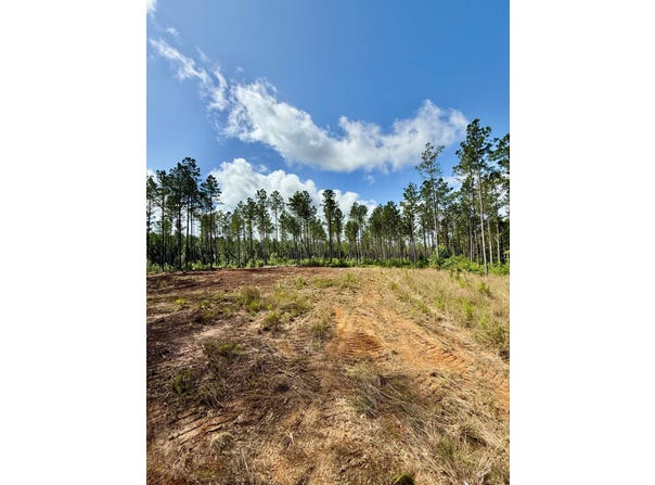 2975 MS-393, Louisville, MS 39339