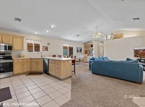 302 Palmer Ln, Mesquite, NV 89027