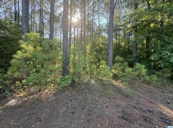 0 COUNTY ROAD 879, SELMA, AL 36701