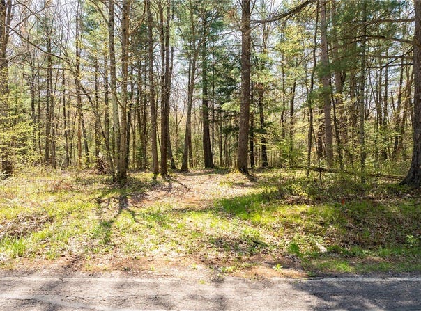 0 Squaw Point Road, Holcombe, WI 54745