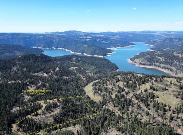 1337 Tie Creek Dr, Orofino, ID 83544