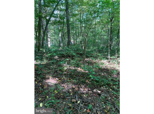 Lot 17 CACAPON RETREAT LANE, GREAT CACAPON, WV 25422