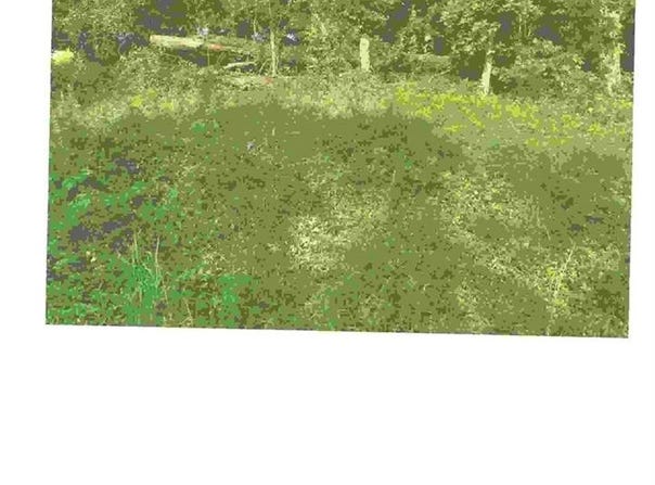 Argyll  DR, Bella Vista, AR 72715